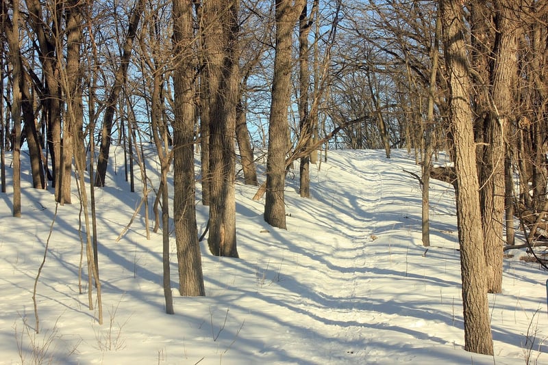 Glacial Trails