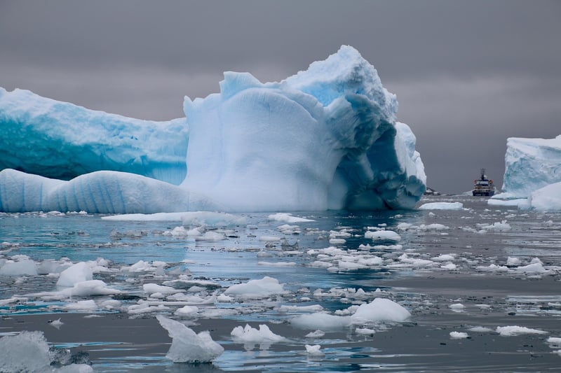 Glacier Cruises