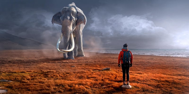 Nomadic Encounters