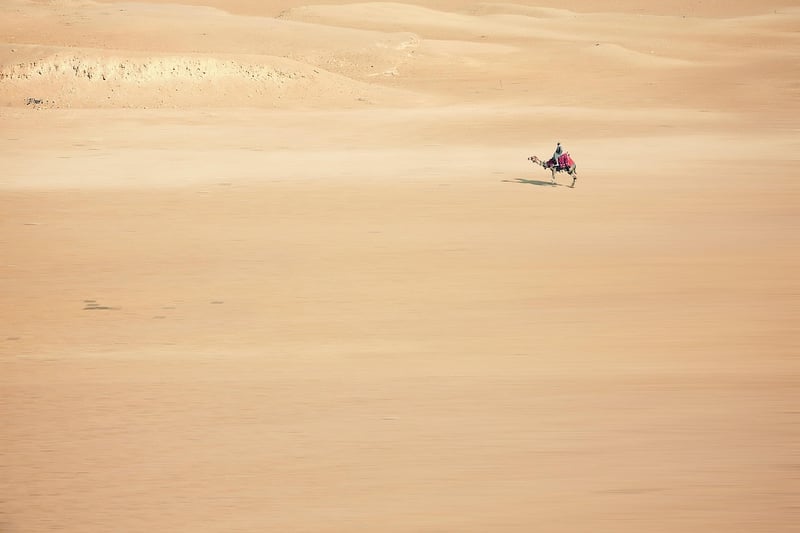 Nomadic Camel in the Desert